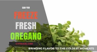 Preserve Fresh Oregano: A Guide to Freezing Herbs for Longevity