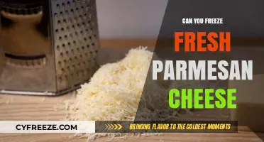 Preserving Freshness: The Ultimate Guide to Freezing Parmesan Cheese