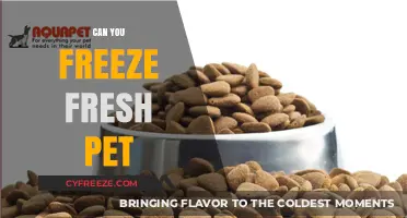Fresh to Frozen: A Guide to Safely Freezing Your Pet's Food