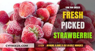 Preserving Summer's Bounty: The Ultimate Guide to Freezing Fresh Strawberries