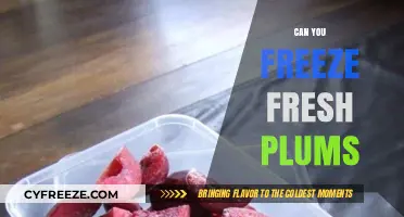 Sweet Preservation: The Ultimate Guide to Freezing Fresh Plums