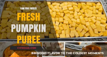 Preserve the Harvest: Freezing Fresh Pumpkin Puree Made Easy