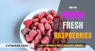 From Garden to Freezer: The Easy Guide to Preserving Fresh Raspberries