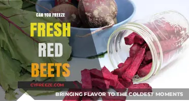 Preserving Nature's Bounty: A Guide to Freezing Fresh Red Beets