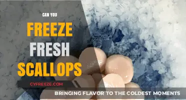 Fresh Scallops: The Ultimate Guide to Freezing and Preserving