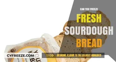 Preserving Artisanal Flavor: The Guide to Freezing Fresh Sourdough Bread