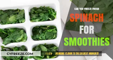 Smoothie Prep: The Ultimate Guide to Freezing Fresh Spinach