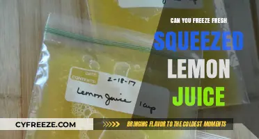 Preserve the Zest: Freezing Fresh Squeezed Lemon Juice Made Easy
