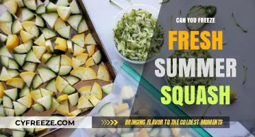 Preserving Summer's Bounty: Can You Freeze Fresh Squash?