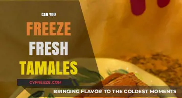 Preserving Tradition: The Ultimate Guide to Freezing Fresh Tamales