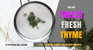 Preserve the Flavor: Freezing Fresh Thyme Made Easy