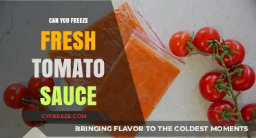 Preserve the Freshness: A Guide to Freezing Homemade Tomato Sauce