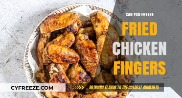 Crispy to Cold: The Ultimate Guide to Freezing Fried Chicken Fingers