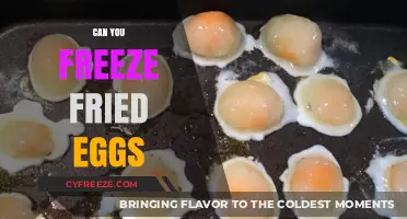 Can You Freeze Fried Eggs? A Quick Preservation Guide