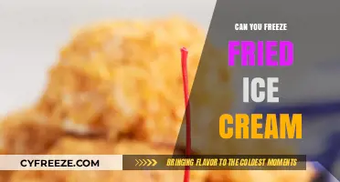 Sweet Science: The Surprising Truth About Freezing Fried Ice Cream