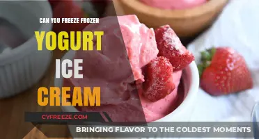 Chill or Freeze? The Scoop on Frozen Yogurt Ice Cream Storage