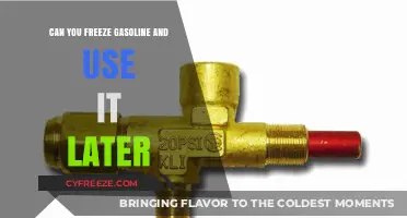 Freezing Gasoline: Is It Safe or Effective for Later Use?