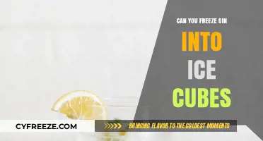 Chill Your Gin: The Art of Freezing Perfect Ice Cubes