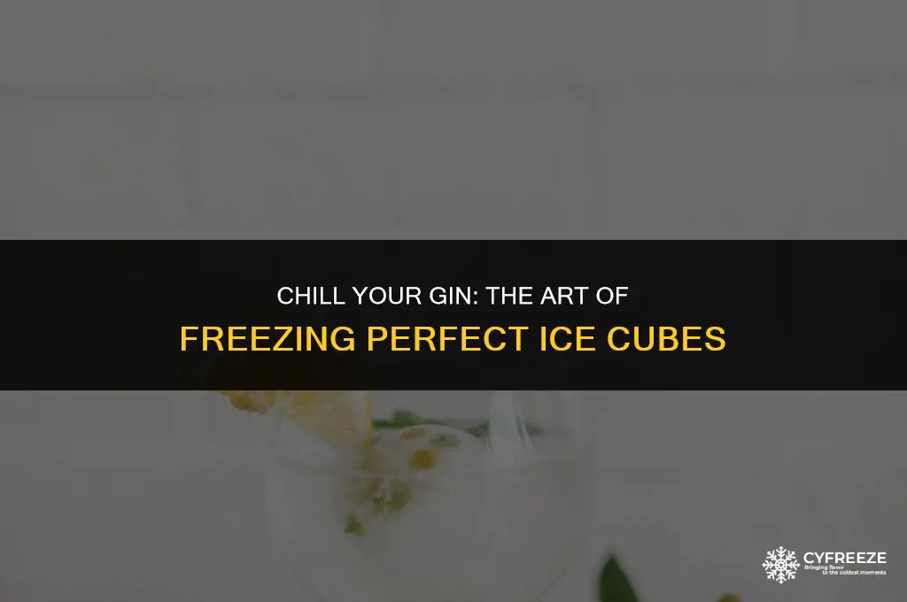 can you freeze gin into ice cubes