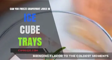 Grapefruit Juice Ice Cubes: A Refreshing Twist for Your Drinks