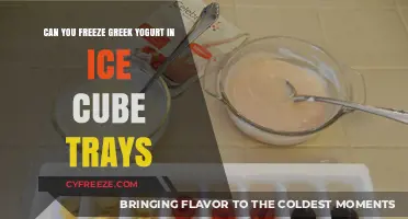Smart Storage: Freezing Greek Yogurt in Ice Cube Trays