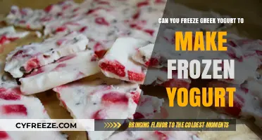 From Greek Yogurt to Frozen Delight: A Simple Guide