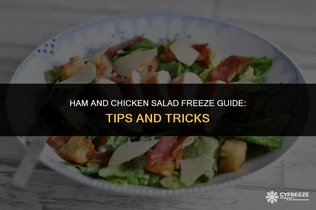 can you freeze ham salad and chicken salad