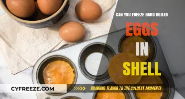 Can You Freeze Hard-Boiled Eggs in Their Shells? Find Out!
