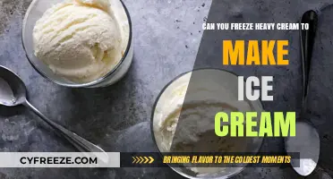 From Heavy Cream to Ice Cream: The Ultimate Freezing Guide