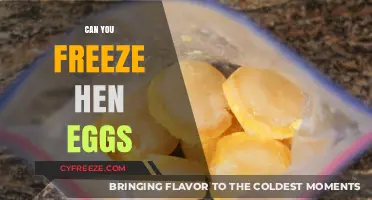 Freezing Hen Eggs: A Complete Guide to Preservation and Safety