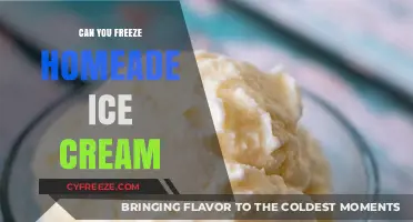 Homemade Ice Cream: The Ultimate Guide to Freezing Perfection