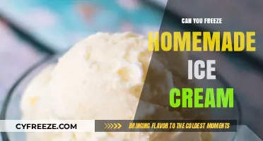 Chill Your Own: The Ultimate Guide to Freezing Homemade Ice Cream