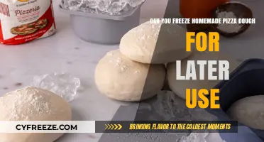 Freeze Homemade Pizza Dough: Tips for Perfect Later Use