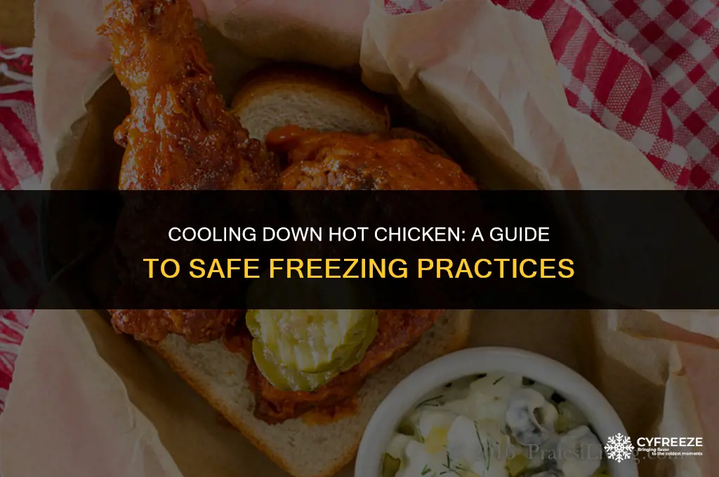 can you freeze hot chicken