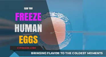 Freezing Human Eggs: A Viable Option for Future Fertility?