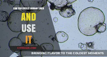 Freezing Human Liver: Potential Uses and Preservation Techniques Explored