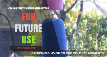 Freezing Hummingbird Nectar: A Guide to Storing Homemade Bird Food