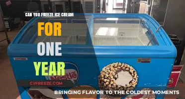 The Ultimate Guide to Freezing Ice Cream for a Year