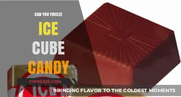 Sweet Freeze: The Ultimate Guide to Ice Cube Candy Preservation