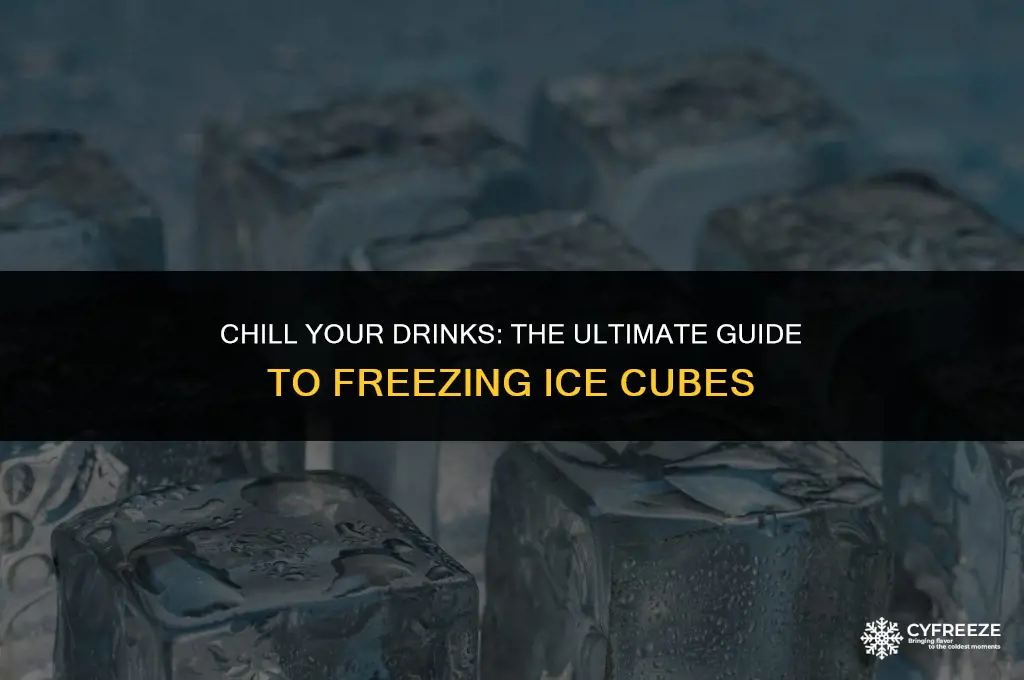 can you freeze ice cubes