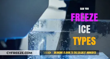 Exploring the Science Behind Freezing Different Types of Ice