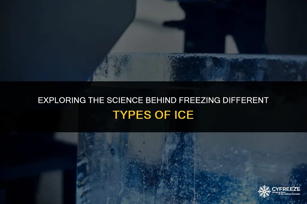 can you freeze ice types