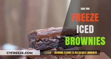 Chill or Not: The Great Iced Brownie Freezing Debate