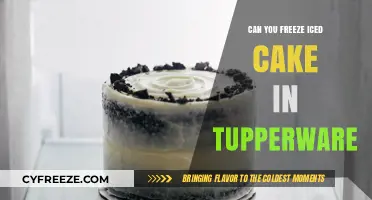 Sweet Success: The Ultimate Guide to Freezing Iced Cake in Tupperware