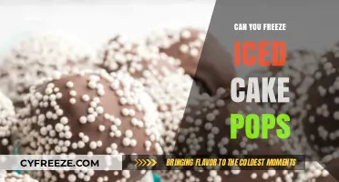 Sweet Treats: The Ultimate Guide to Freezing Iced Cake Pops