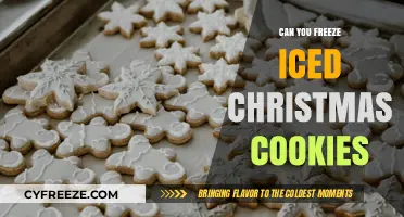 Festive Freeze: Iced Christmas Cookies Storage Tips