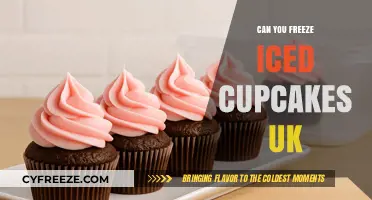 Sweet Treats: The Ultimate Guide to Freezing Iced Cupcakes in the UK