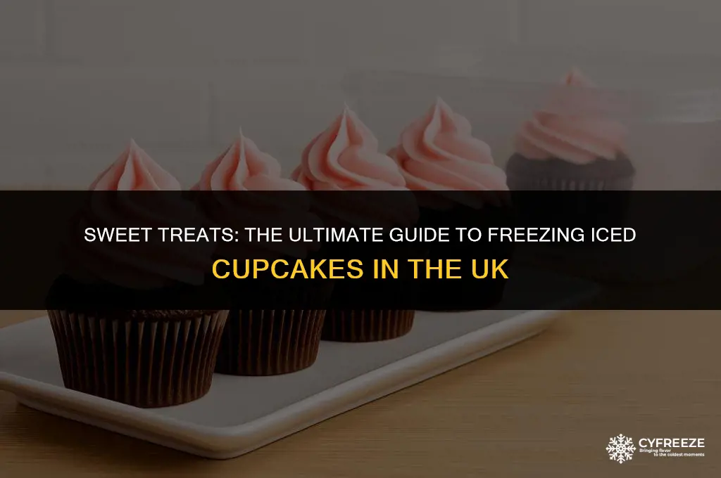 can you freeze iced cupcakes uk
