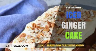 Sweet Success: Mastering the Art of Freezing Iced Ginger Cake