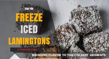 Sweet Treats Hack: Mastering the Art of Freezing Iced Lamingtons
